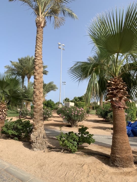 Gartenanlage Steigenberger Aqua Magic