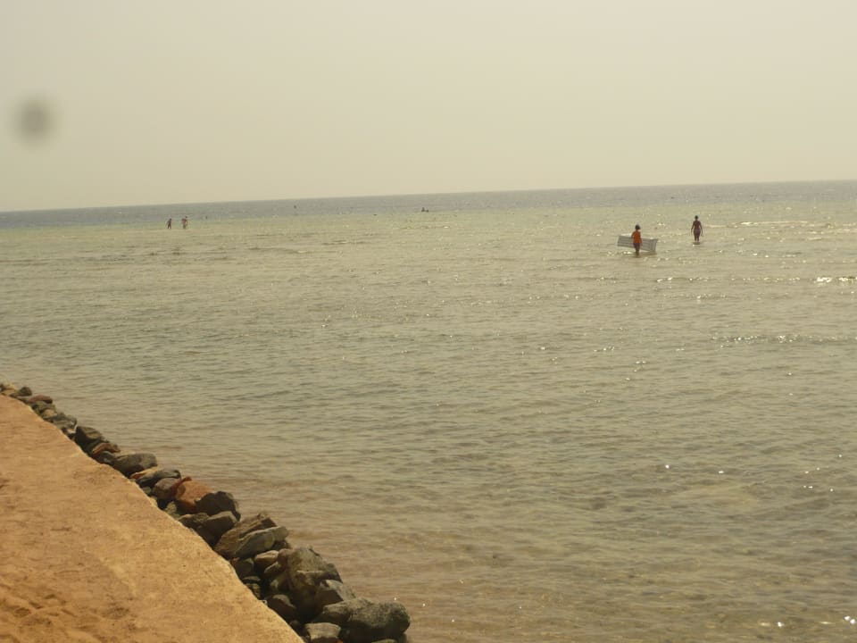 Der Korallenteil / Hausstrand  Makadi Palace