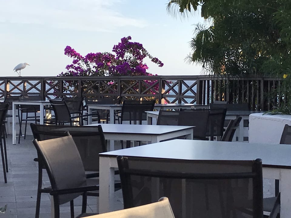 Gastro Fuerteventura Princess