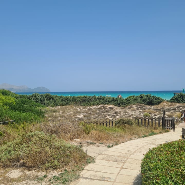 Ausblick Zafiro Bahia