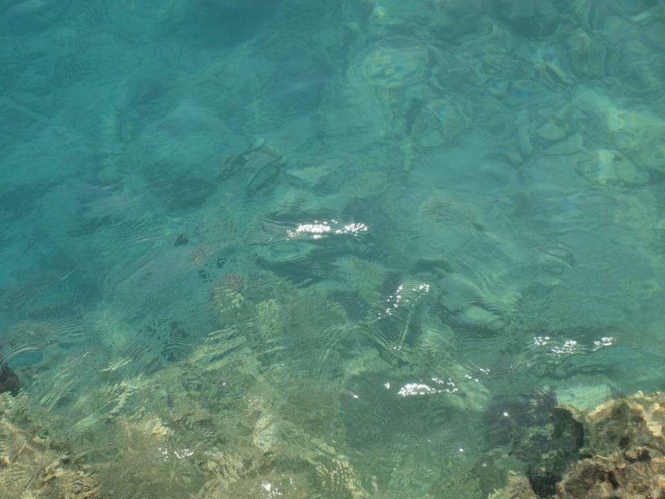 Kristallklares Wasser Pickalbatros Citadel Resort