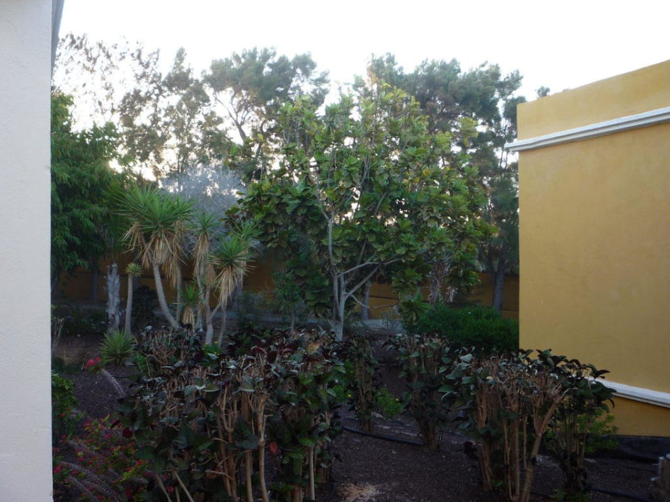 Sicht von der Terrasse AluaVillage Fuerteventura