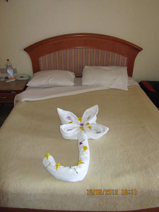 Kwiatek Sharm Grand Plaza Resort