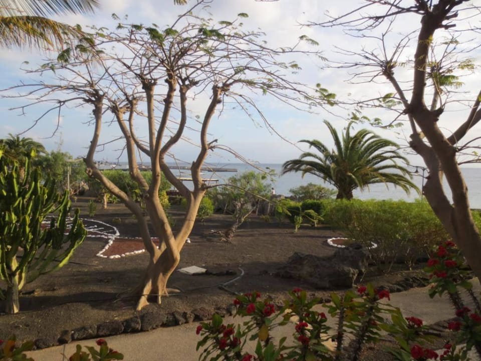 Gartenanlage Dreams Lanzarote Playa Dorada Resort & Spa