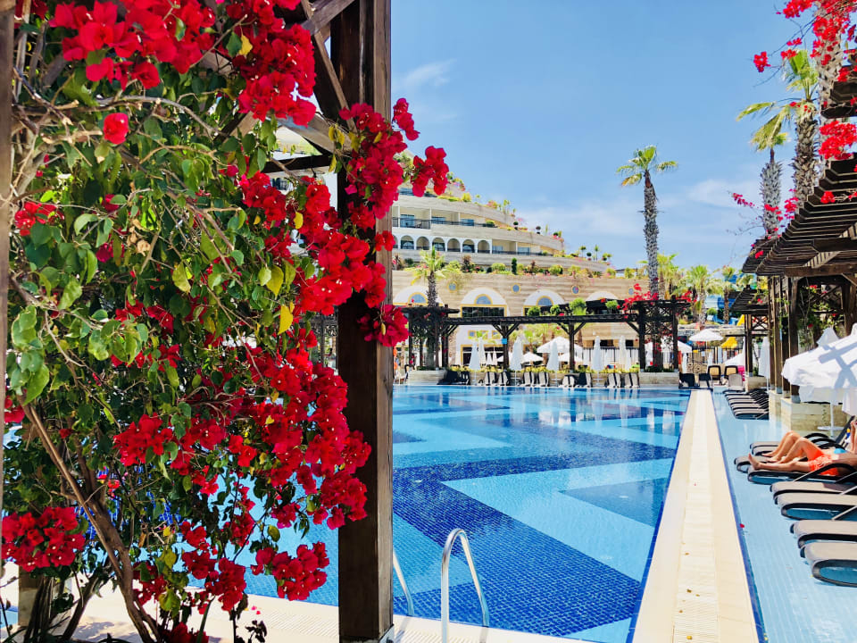 Pool ab 16+ Crystal Sunset Pearl Collection