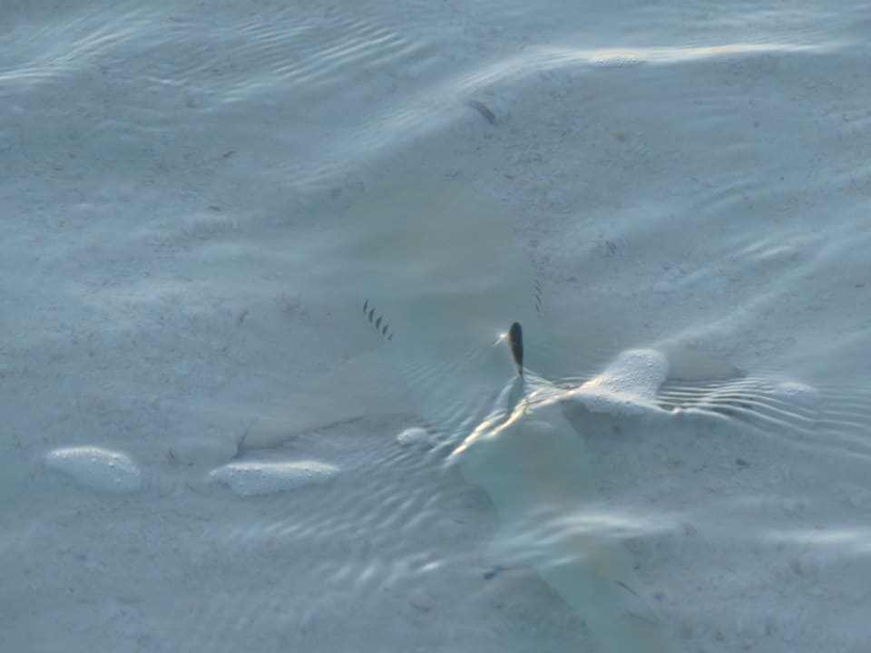 Strand Thulhagiri Island Resort