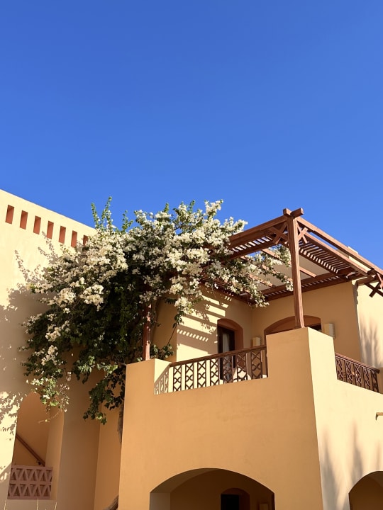 Gartenanlage Steigenberger Coraya Beach - Adults only