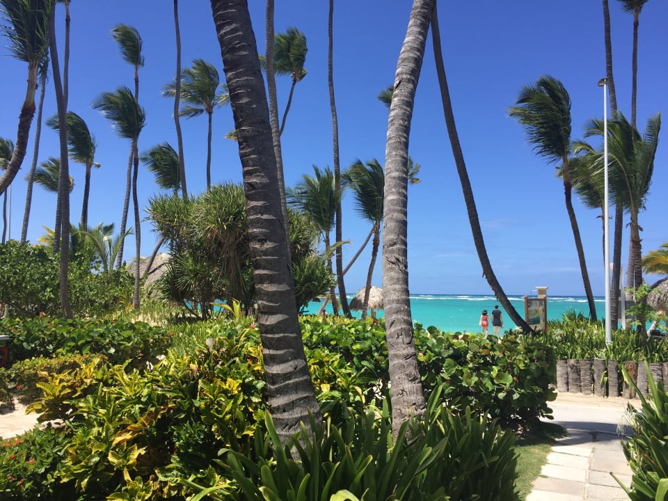 Garten Hotel Grand Palladium Palace Resort, Spa & Casino