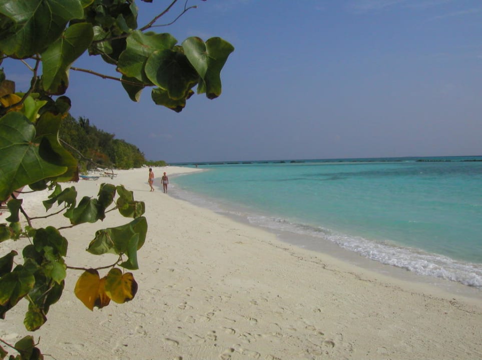 Strand Summer Island Maldives