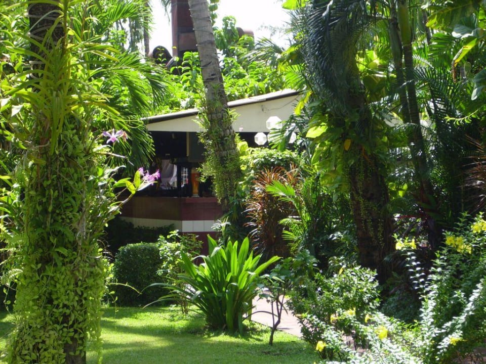 Garten Lokal Phuket