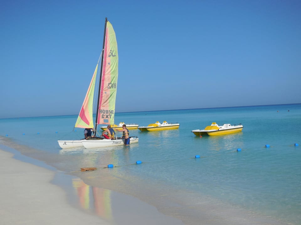 Kostenlose Aktiviäten - örtlicher Anbieter Blau varadero - Adults only