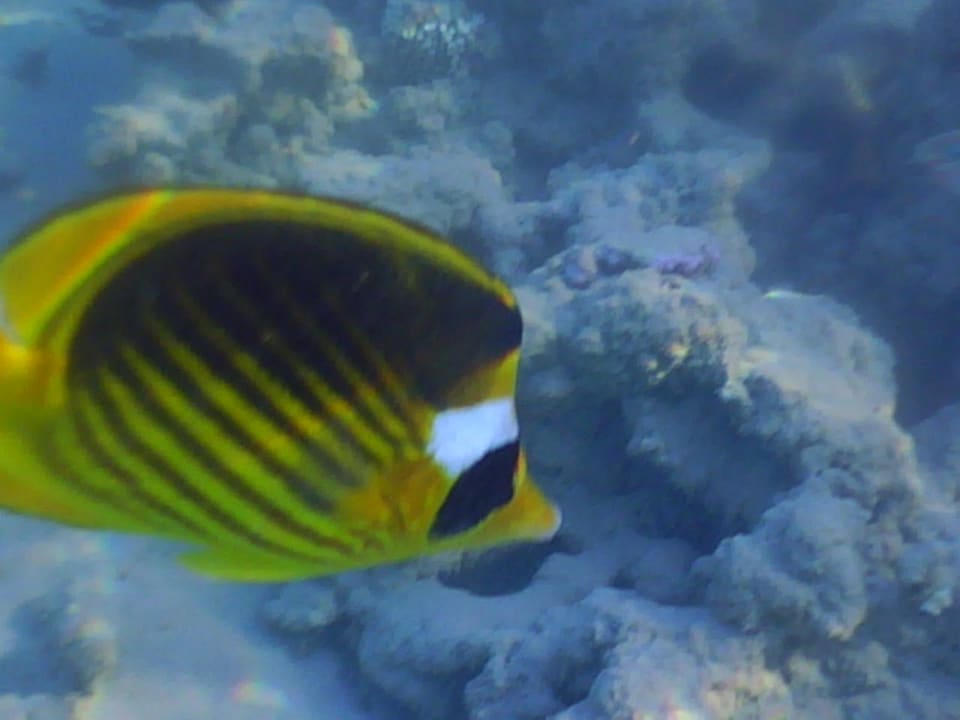 Sport & Freizeit Grand Waterworld Makadi & Family Star Makadi