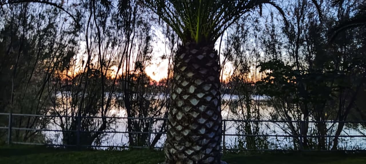 Gartenanlage Camping Village Lake Placid