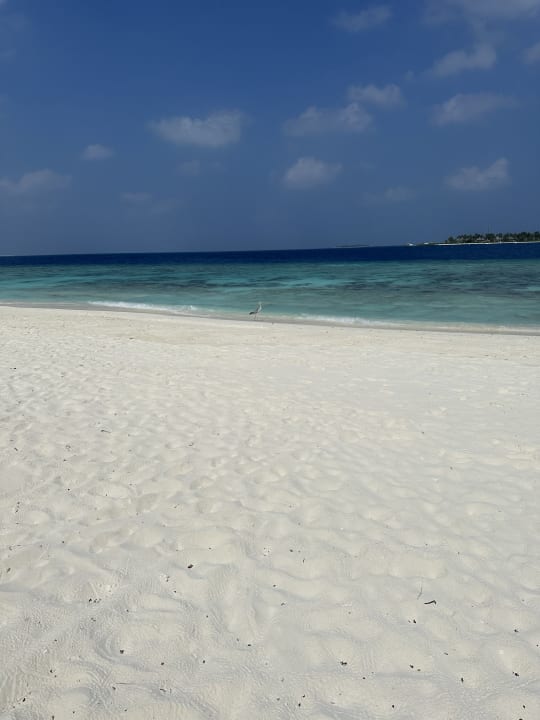 Strand NH Collection Maldives Reethi Resort