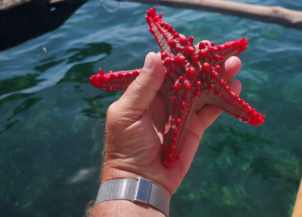 Strand Bahari Beach Hotel