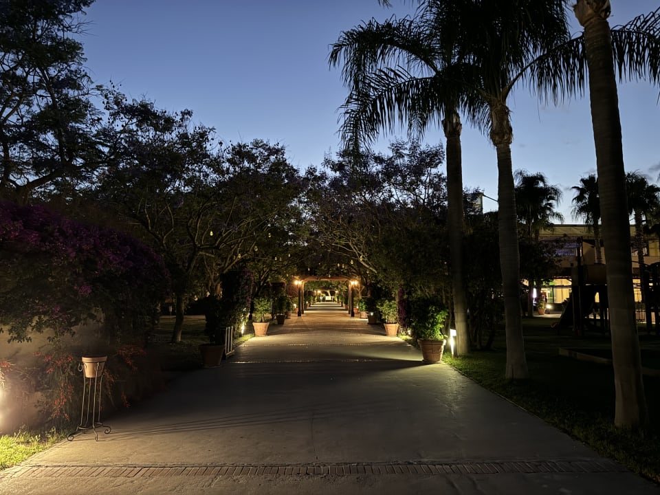 Gartenanlage TUI MAGIC LIFE Calabria