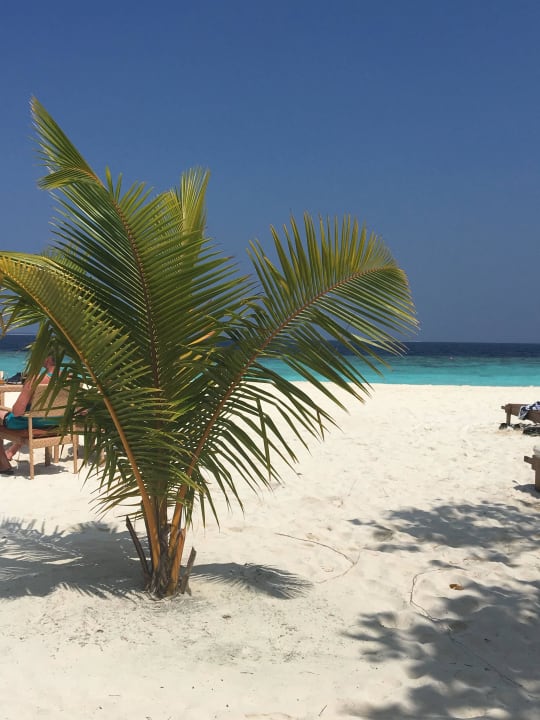 Einziger Traumtag Adaaran Prestige Water Villas - Premium All Inclusive