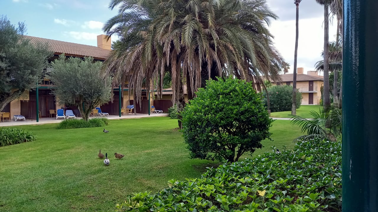 Gartenanlage PortBlue Club Pollentia Resort & Spa