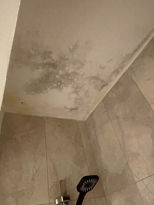 Zimmer Maya World Didyma Hotel - Ultra All Inclusive