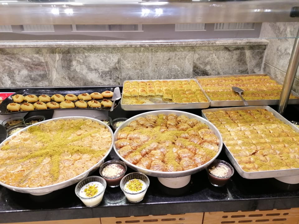 Gastro Seashell Vega