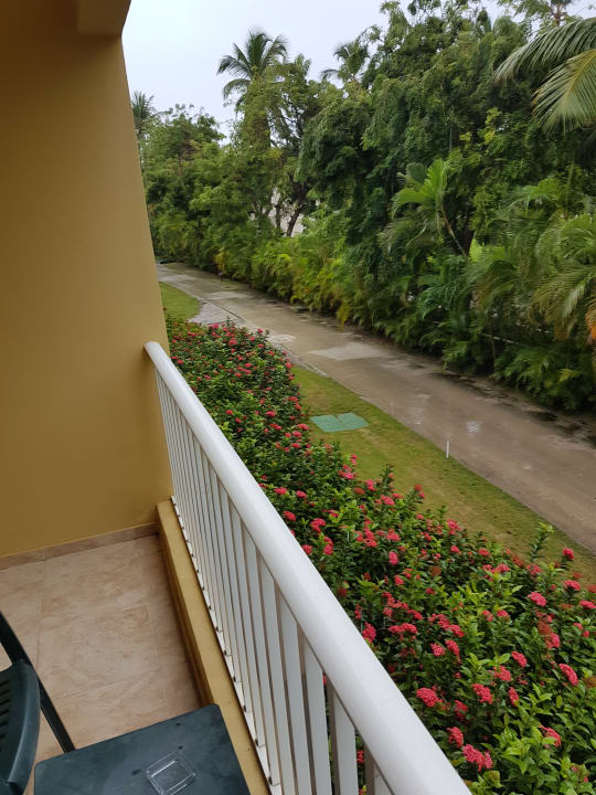 Zimmer Ocean Blue & Sand