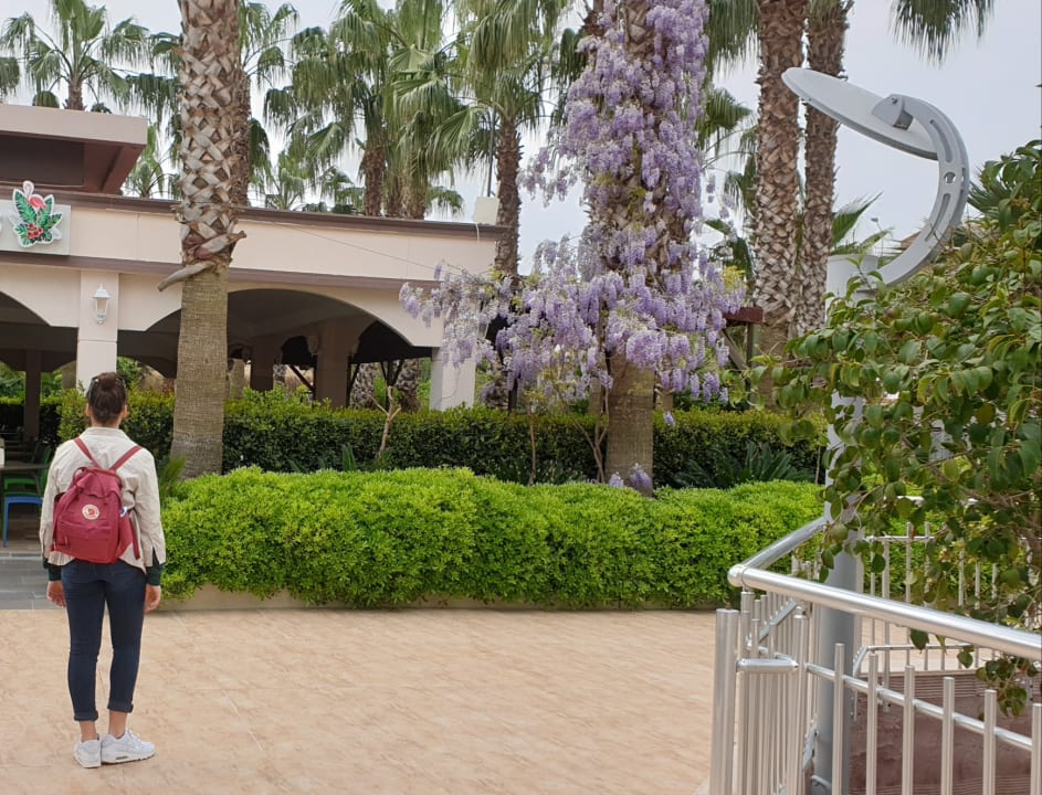 Gartenanlage Hane Family Resort