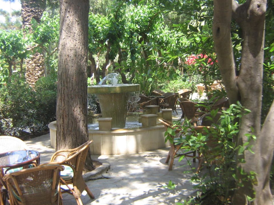 An der Bar Apollonia Beach Resort & Spa