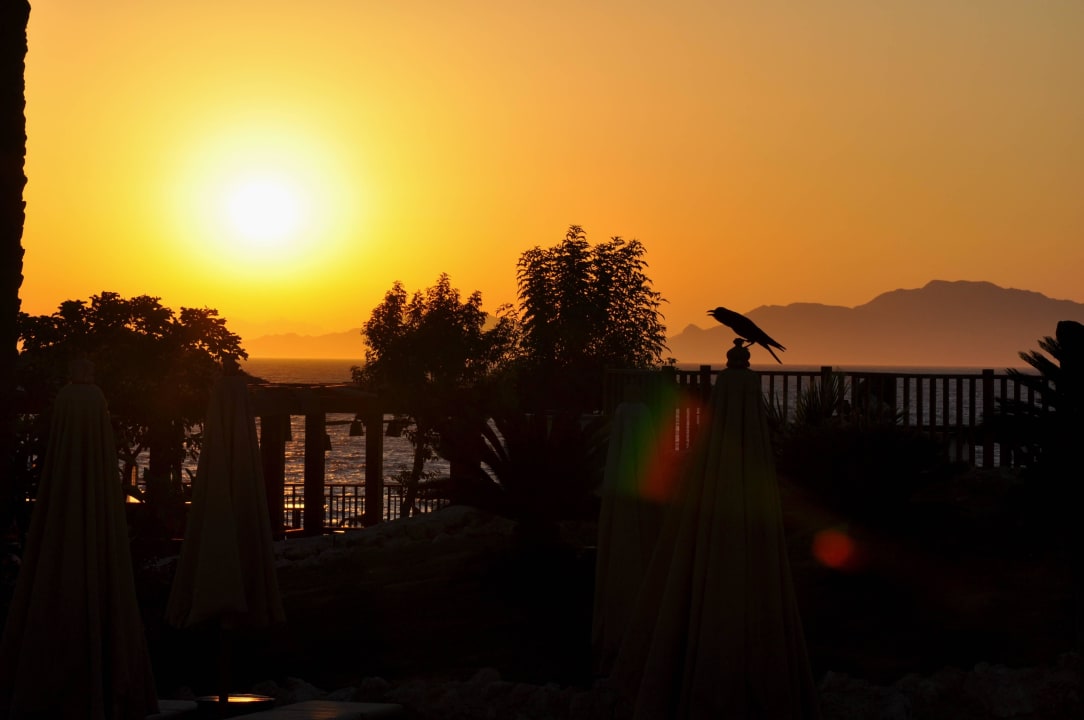 Sonnenaufgang über Insel Tiran The Grand Hotel Sharm El Sheikh