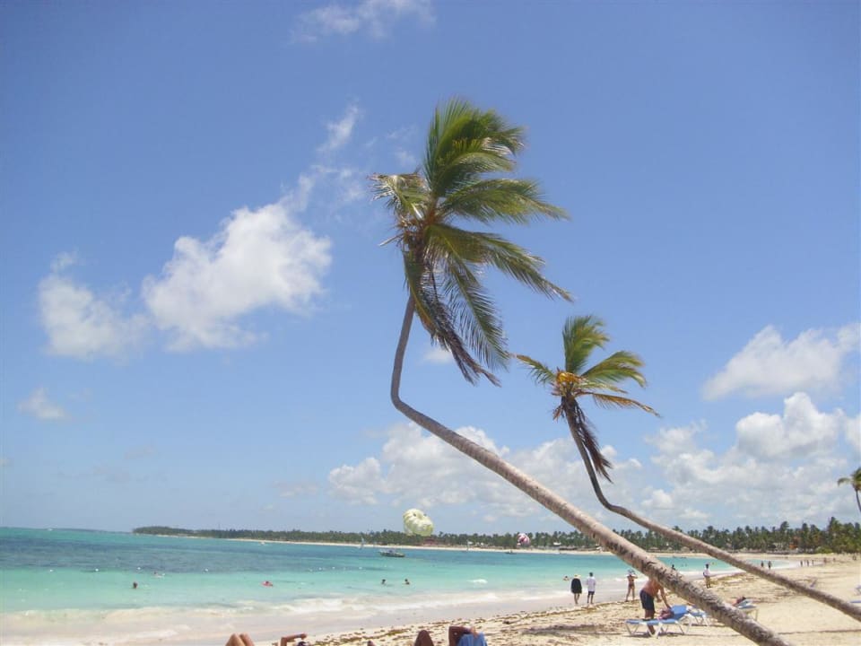 Ideal für Strandspaziergänge VIK Hotel Arena Blanca