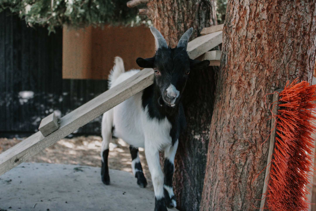Gartenanlage Hotel Oberforsthof