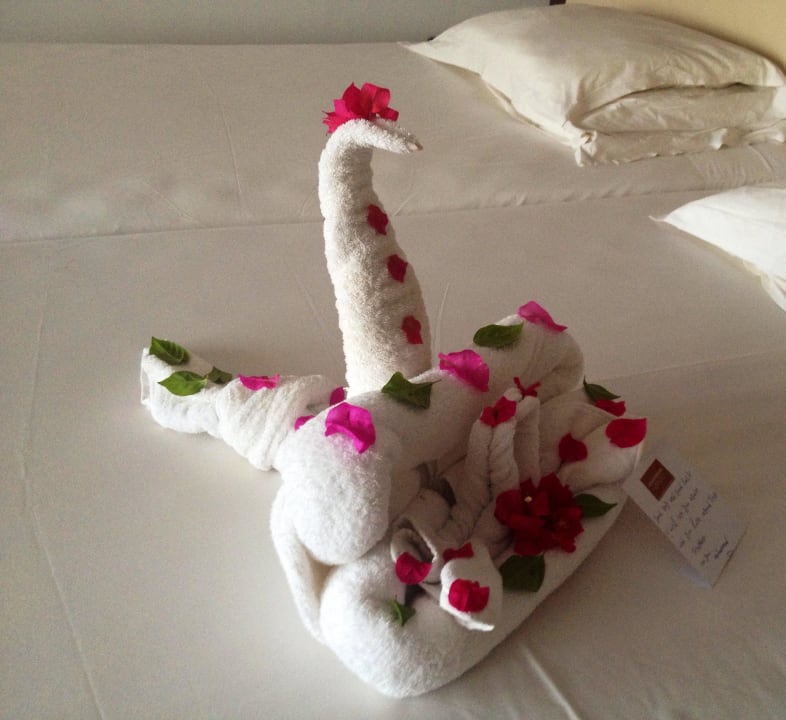 Ein nettes Danke  Steigenberger Makadi Hotel - Adults only