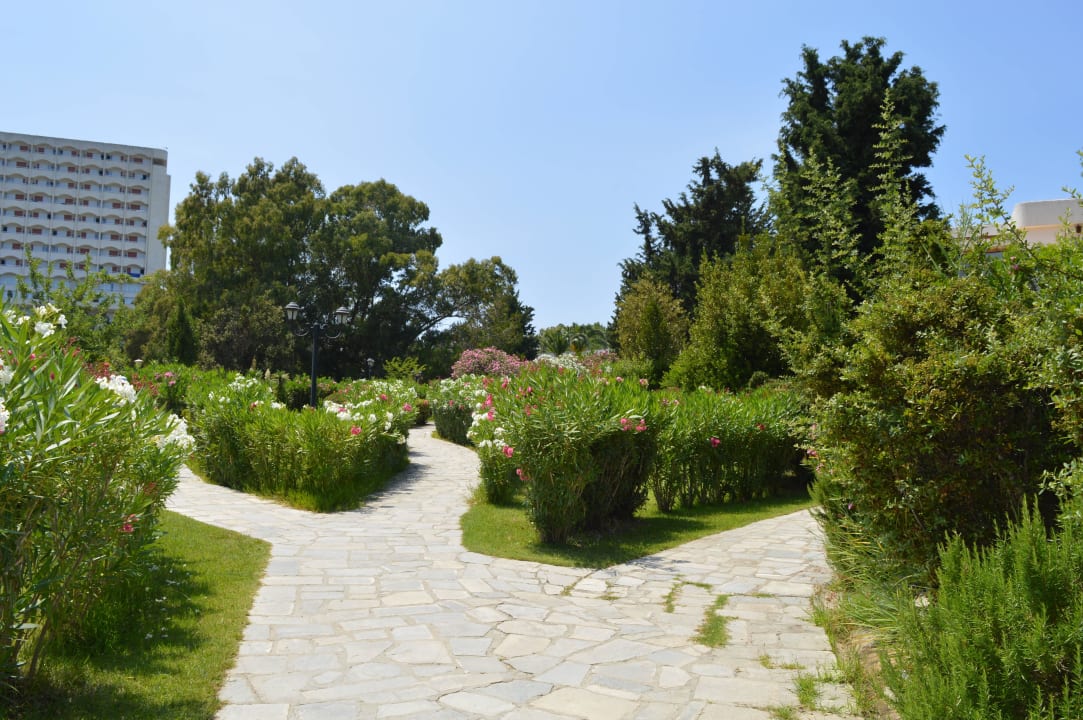 Alejki Hotel Athos Palace