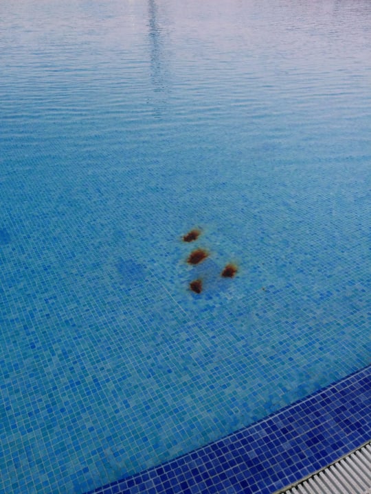 Rost im Pool TUI MAGIC LIFE Fuerteventura