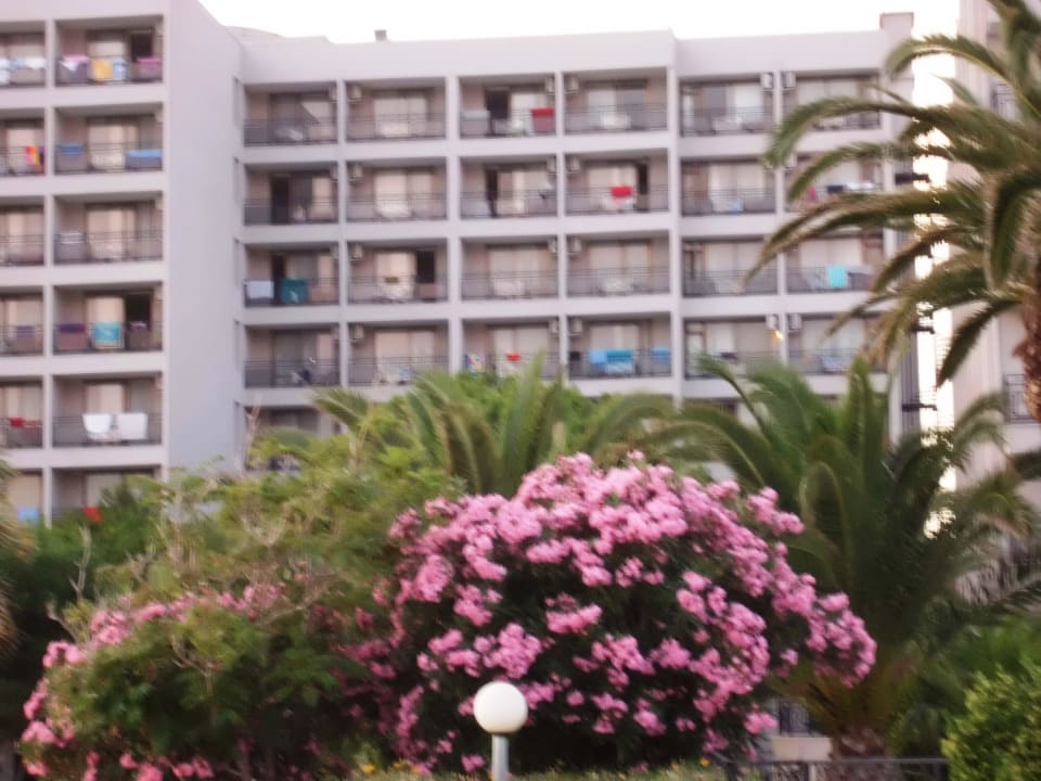 Hotel vom Garten aus Tusan Beach Resort