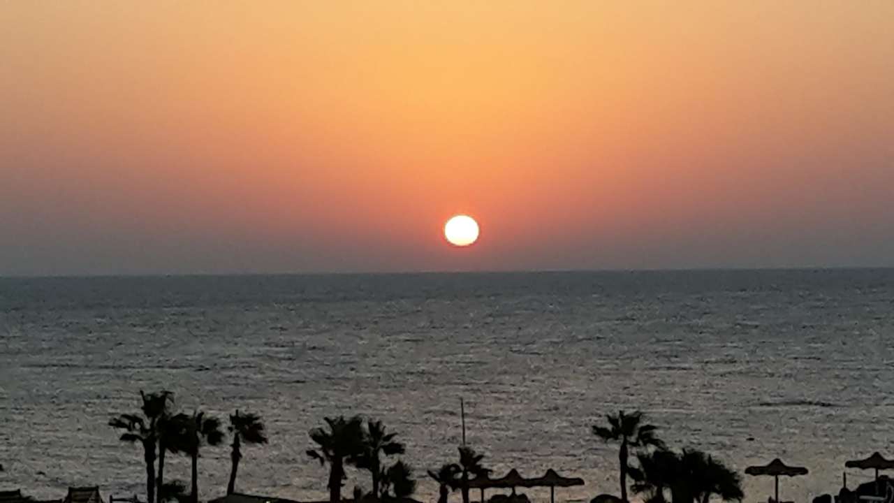 Ausblick Pickalbatros Citadel Resort