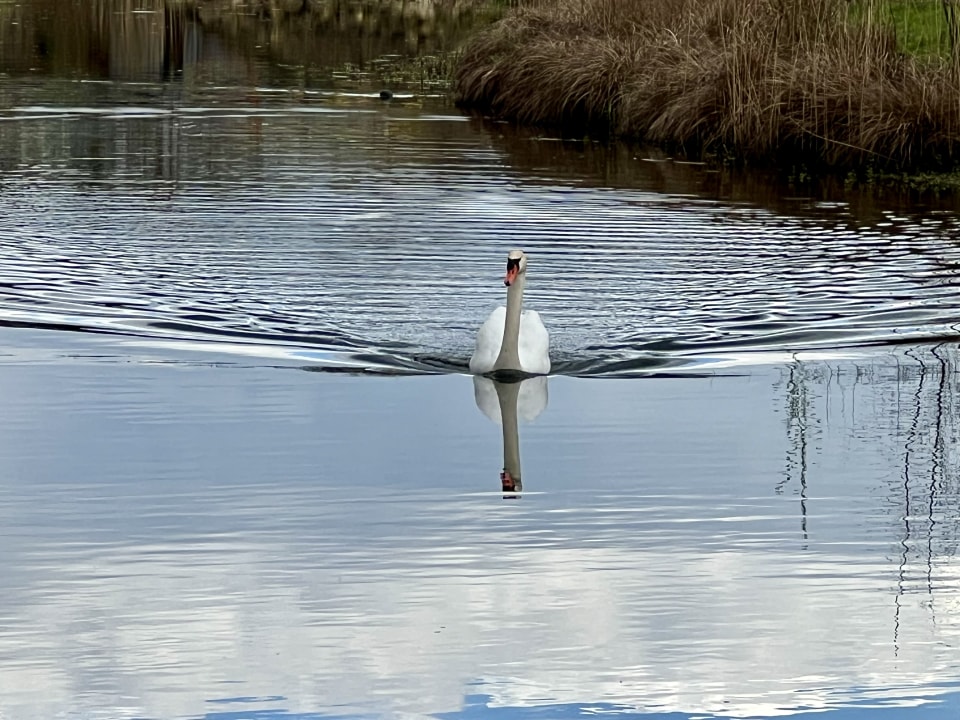 Ausblick Villages Nature Paris