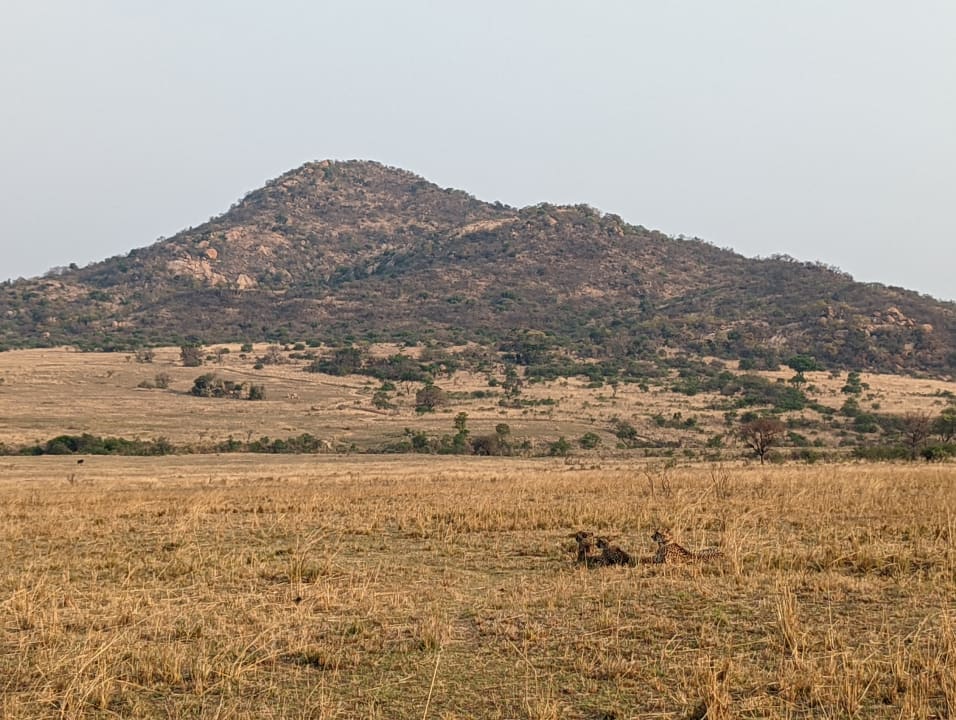 Ausblick Nkomazi Game Reserve