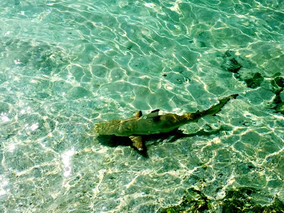 Strand Kuredu Island Resort & Spa