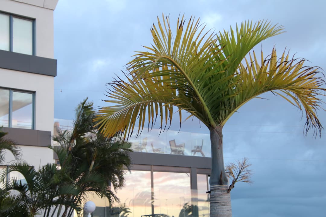 Ausblick KN Matas Blancas Hotel - Adults only