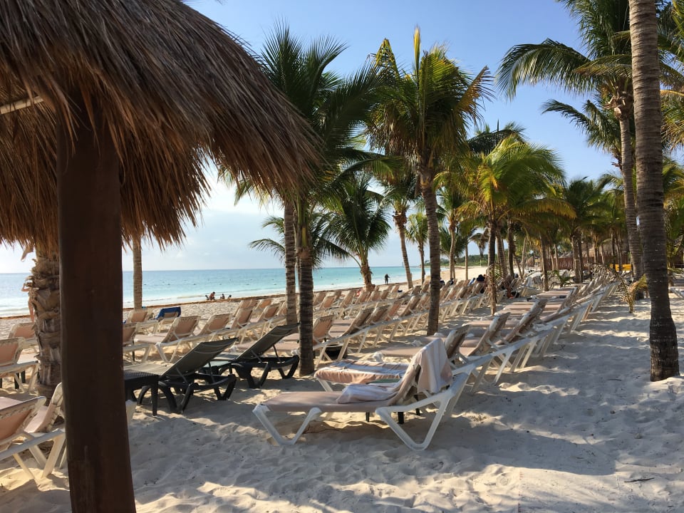 Strand Catalonia Playa Maroma