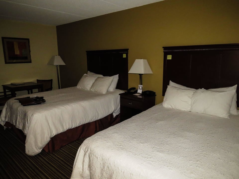 Zimmer mit 2 Queenbetten Hotel Hampton Inn Waycross