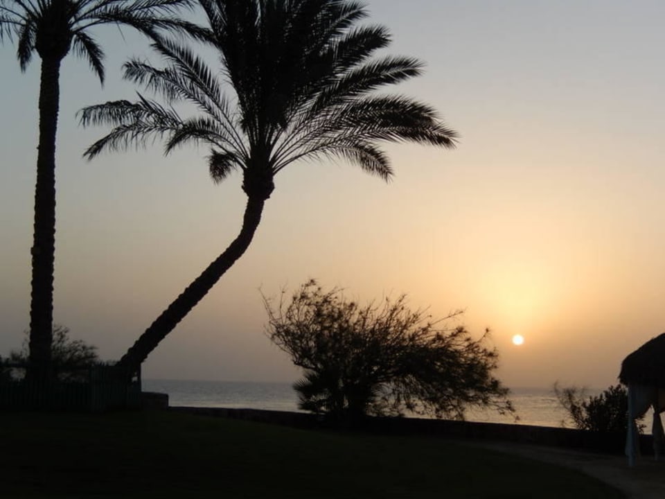 Morgen stimmung  Steigenberger Coraya Beach - Adults only