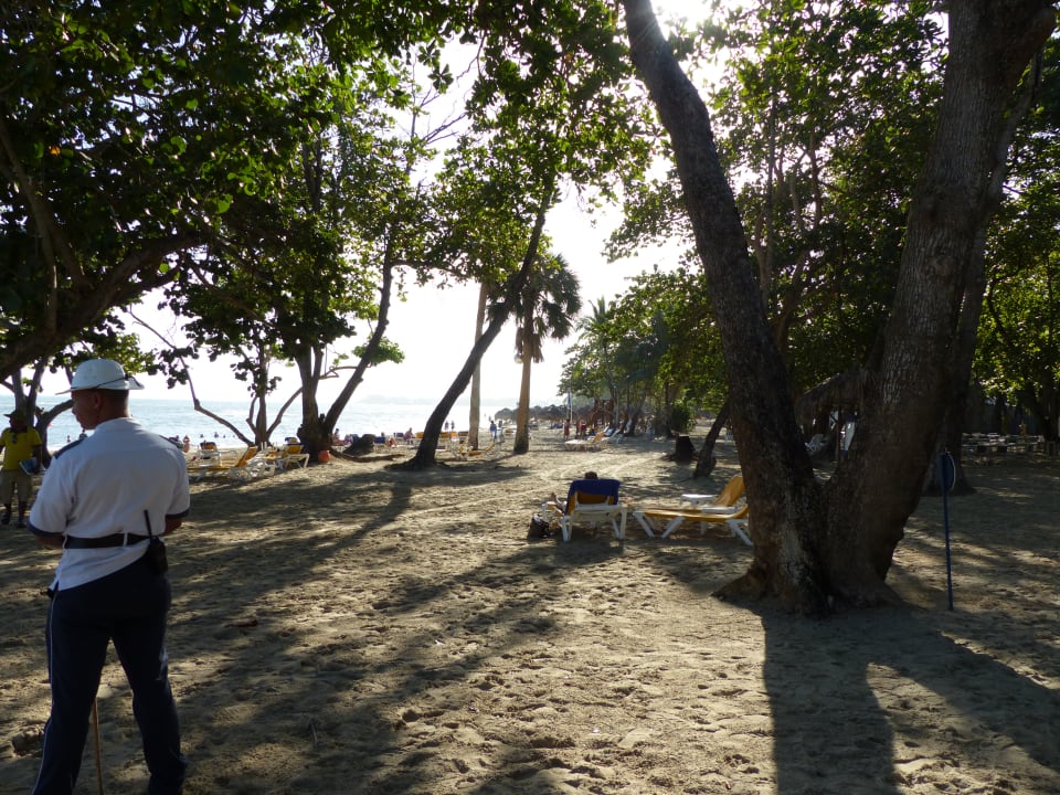 Hotelstrand sowohl bewaldet, als auch frei Iberostar Waves Costa Dorada