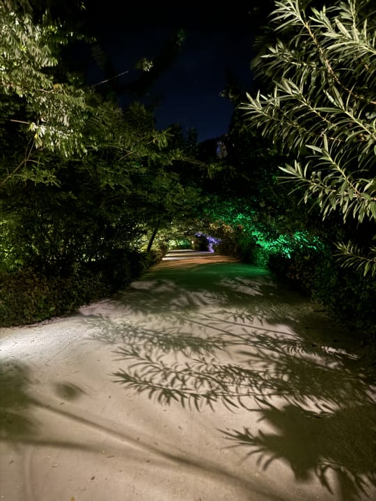 Gartenanlage TUI BLUE Olhuveli Romance