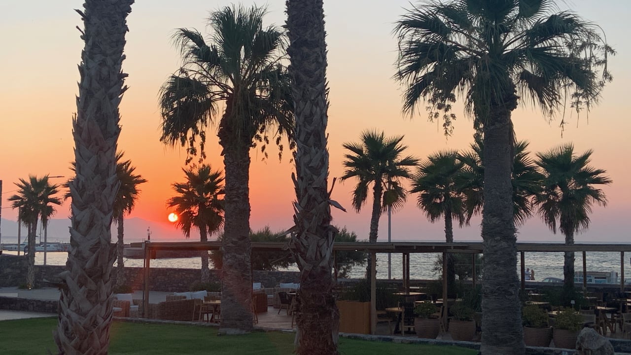 Gartenanlage Hotel Aphrodite Beach Club