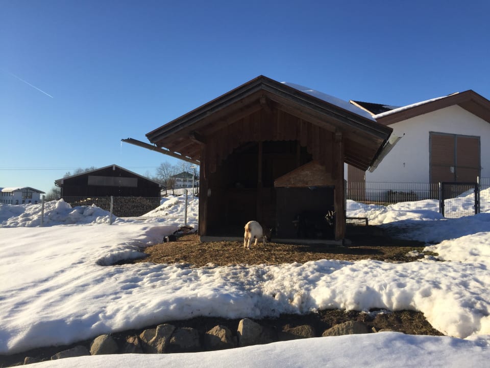 Außenansicht Erlebnisbauernhof Achatz