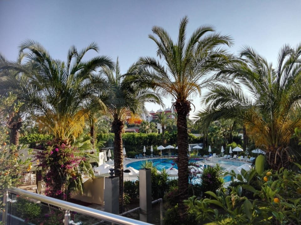 Ruhepool Calimera Hane Garden