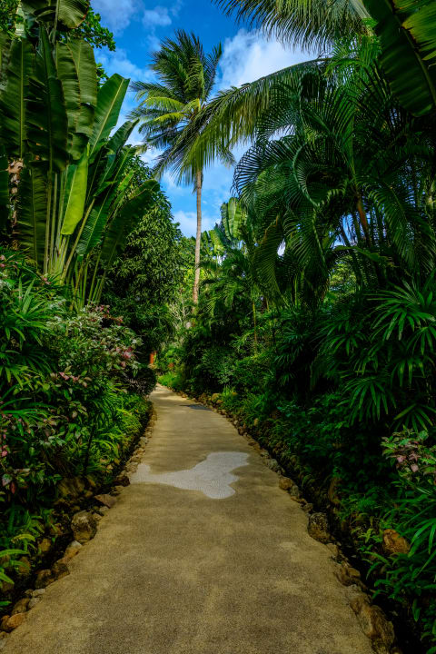 Gartenanlage Zazen Boutique Resort & Spa