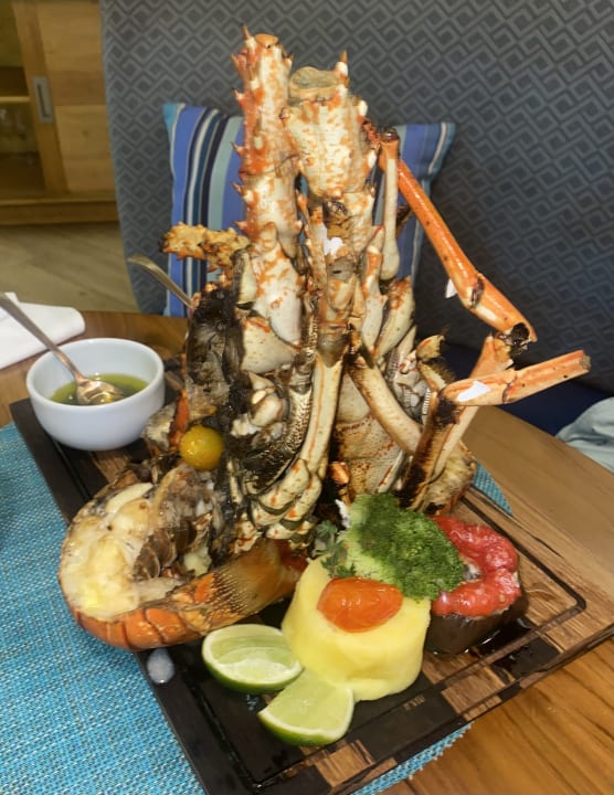 Gastro TRS Turquesa Hotel - Adults only