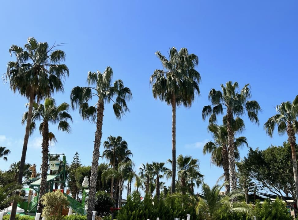 Gartenanlage Arycanda Kirman Premium